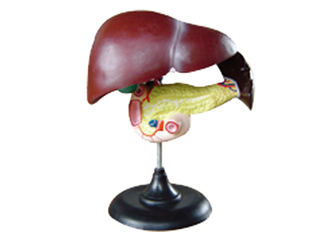 SD-093 33216ʮ֬cKģ